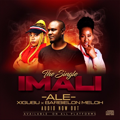 Imali (feat. Barbielon Meloh & Xigubu) - Single