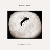 Burden of Truth - Single