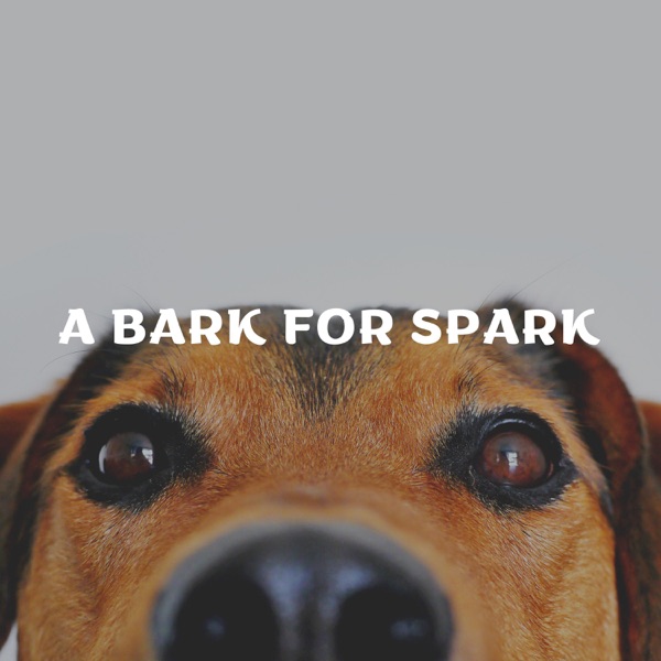 A Bark for Spark