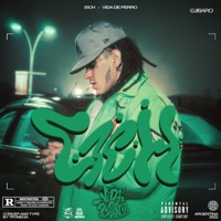 Vida de Perro Mixtape (Vol. 1) - EP - Eich