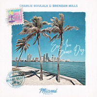 See You Some Day - Single - Charlie Boulala & Brendan Mills