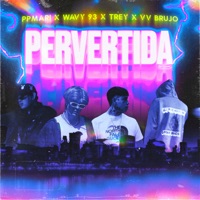 Pervertida (feat. PPMARI) - Single - VV Brujo, Trey & Wavy 93