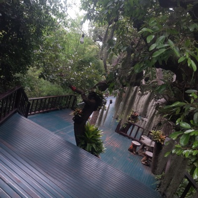 I'm a loser - Single