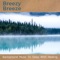 The Calm - Breezy Breeze lyrics