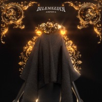 Bilemezdim - Single - Aspova