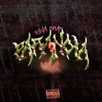 paranoia (feat. Sojabrat) - Single - cshsznxo!