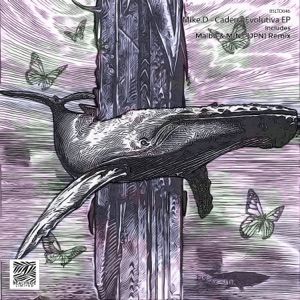 Cadena Evolutiva - Single