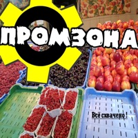 Всё схвачено! - ПРОМЗОНА