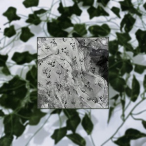 Aphrodite's Prophecy - Single
