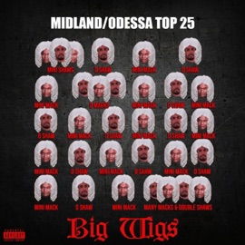 Fake Love (feat. Mini Mack) D. Shaw