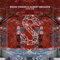 Your Love - EP - Bram Fidder & Albert Breaker