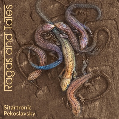 What is Piloo? (feat. Pekoslavsky) - Single