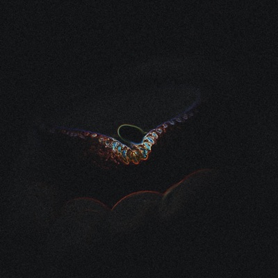 Fools Gold 2022 (feat. Miranda Siegersma) - Single