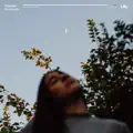 Moonlight