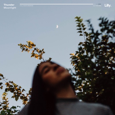Moonlight - Single