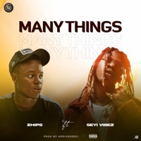Many things (feat. Seyi Vibez) - Single - ZHIPS