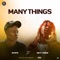 Many things (feat. Seyi Vibez) - ZHIPS lyrics