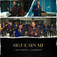 Sigue Sin Mi (feat. Banda La Sensacion De Jalisco) - Single - ANCLA NORTEÑA