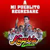 A Mi Pueblito Regresaré