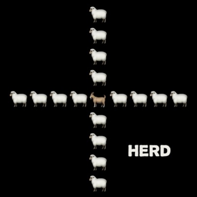 Herd