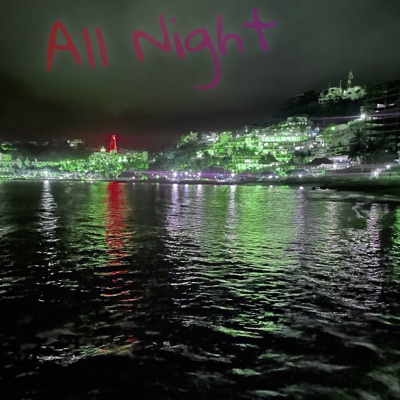 All Night (feat. chubfub) - Single