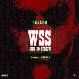 Wss (Why So Serious) Feecho