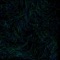 Endocrine Disruptor - Eonan lyrics