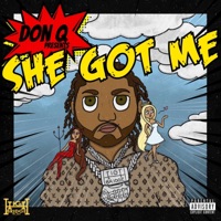 She Got Me - Single - Don Q