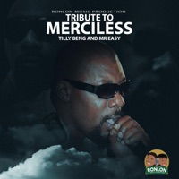 TRIBUTE TO MERCILESS (feat. MR EASY) - Single - Tilly Beng