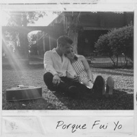 Porque Fui Yo - Single - Luis Sandoval