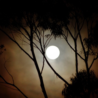 Viajes Nocturnos - Single