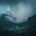 The Wanderer