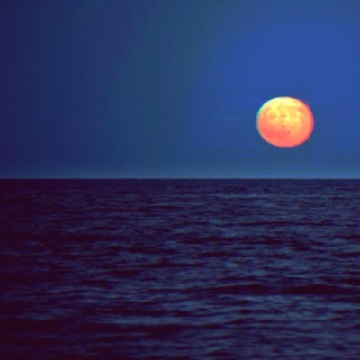 Lost In Something - Single