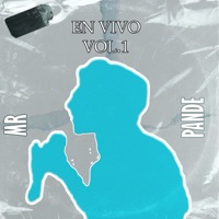 Vol.1 (En Vivo) - Single - MR Pande