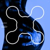 Shake It cover art