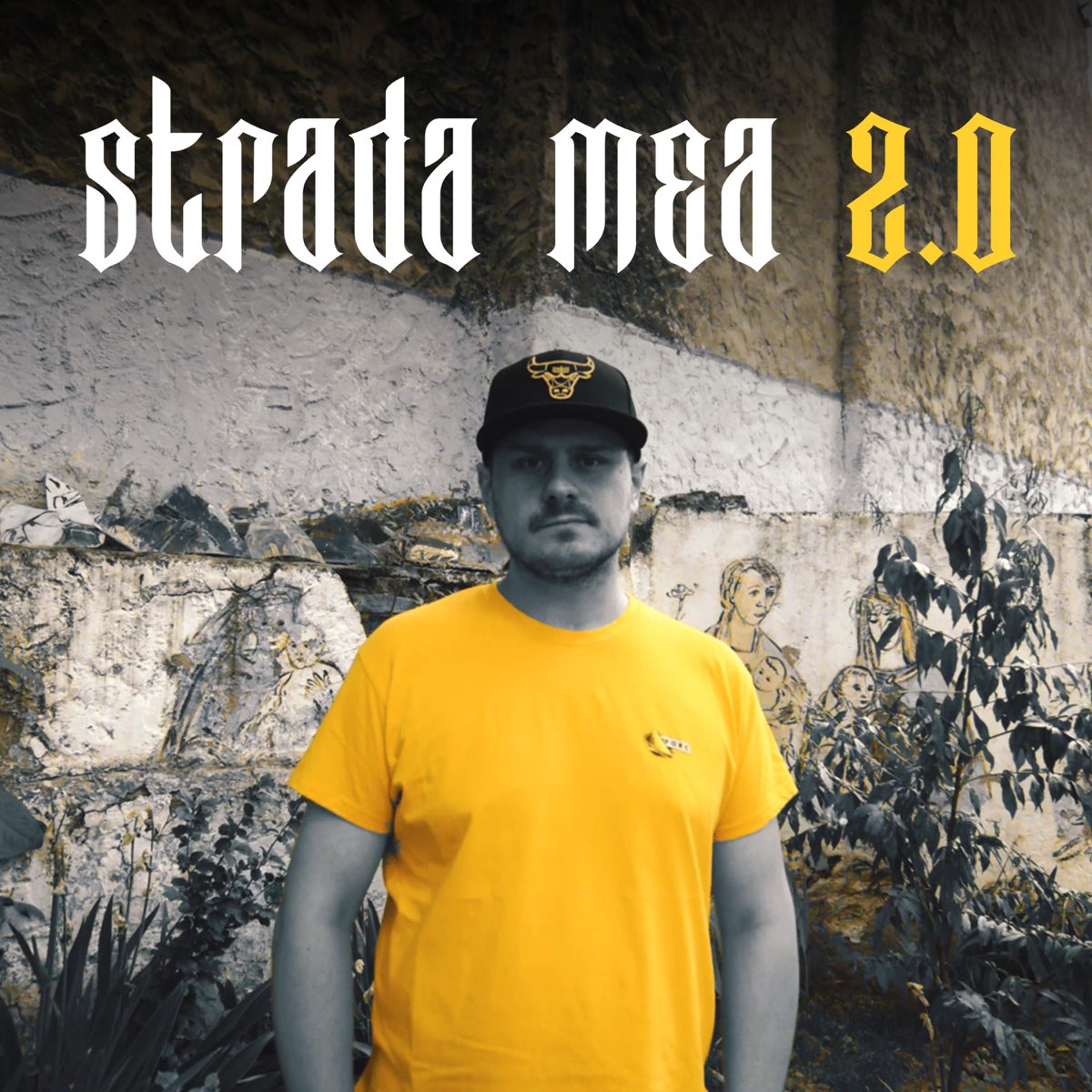 Strada Mea 2.0 (feat. BRUJA, Jena, Macanache, Junky Zice, NOSFE, Nu', Omu  Gnom, Amuly, Tranda, Bogă & Hawk) - Single by DJ Nasa on Apple Music