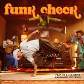 Funk Check! (feat. RC & The Gritz & Black Joe Lewis) artwork