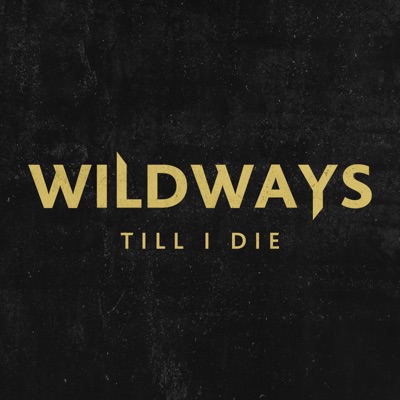 Till I Die - Single