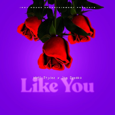 Like You - Single