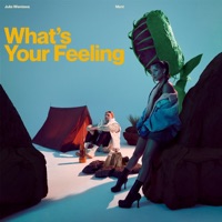 What's Your Feeling - Single - Ment & Julia Wieniawa