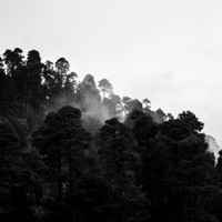 Distant Hymns - Single - Tryptamind