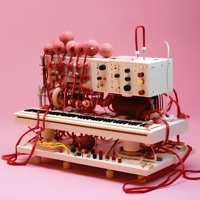 Bass Symphony, Take 1 - Soft-Bodied Humans