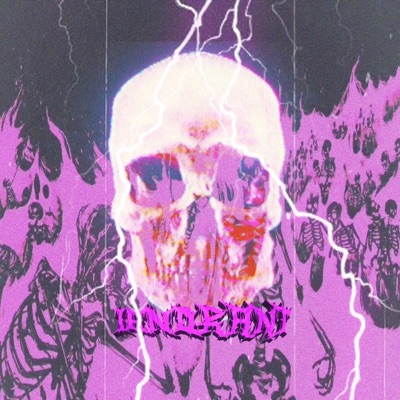 IGNORANT - Single