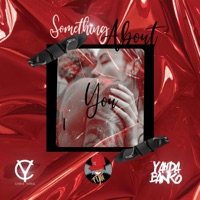 Something About You (feat. Yahda Banko & Reo Remii) [Radio Edit] - Single - Chris Yung
