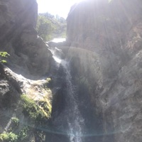 Eyes (feat. Tracey Brakes) - Single - goji!