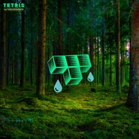 Tetris - Single - Thaliszmente