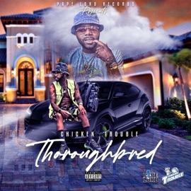 All Pape (feat. PlugBoiE & Lucky Luck) Chicken Trouble
