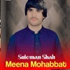 Meena Mohabbat cover art