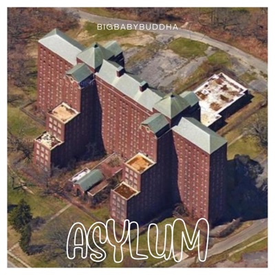 Asylum - Single