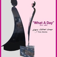 What a Day (Edit) [Live] [feat. Bonita & Krissylvie] - Single - Cozy Street Corner